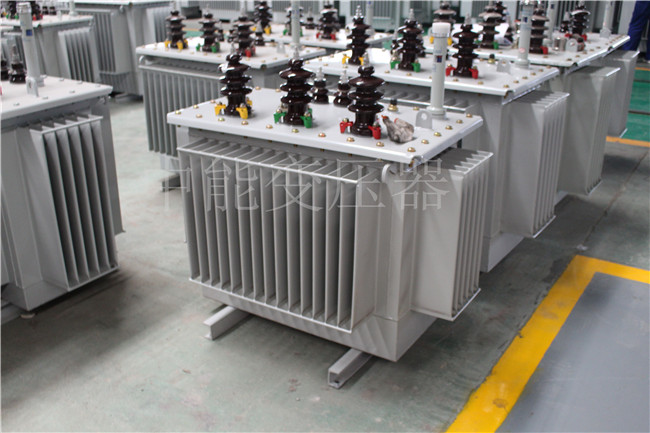 龙岩S22-100KVA/10KV/0.4KV变压器